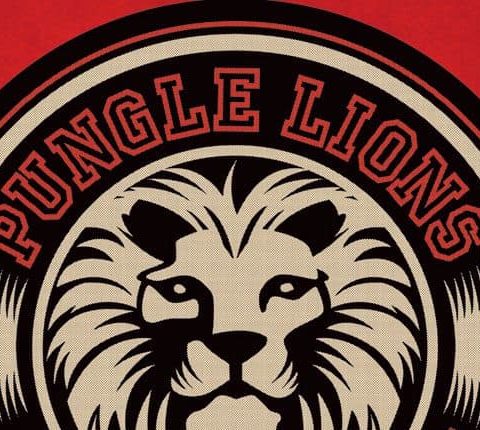 Pungle Lions Essentials 45 set 2014