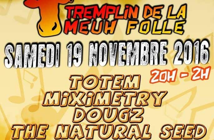 Tremplin festival Meuh Folle 2016