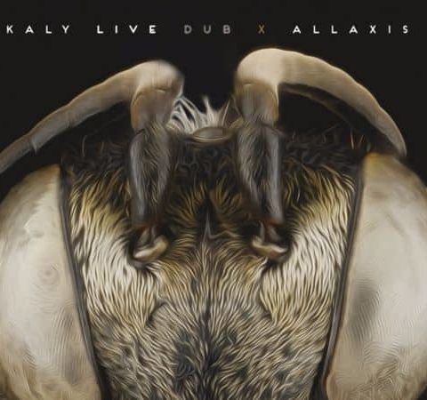 Allaxis Kaly Live Dub