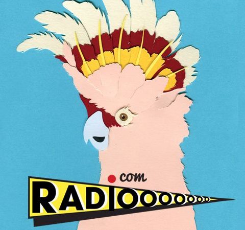 Webradio la radiooooo