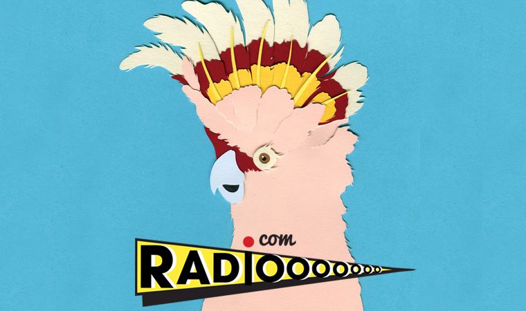 Webradio la radiooooo