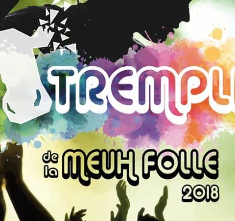 Tremplin Festival de la Meuh Folle 2018