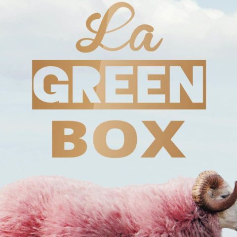 La Green Box Florent Vintrignier La Rue Kétanou nouveau projet