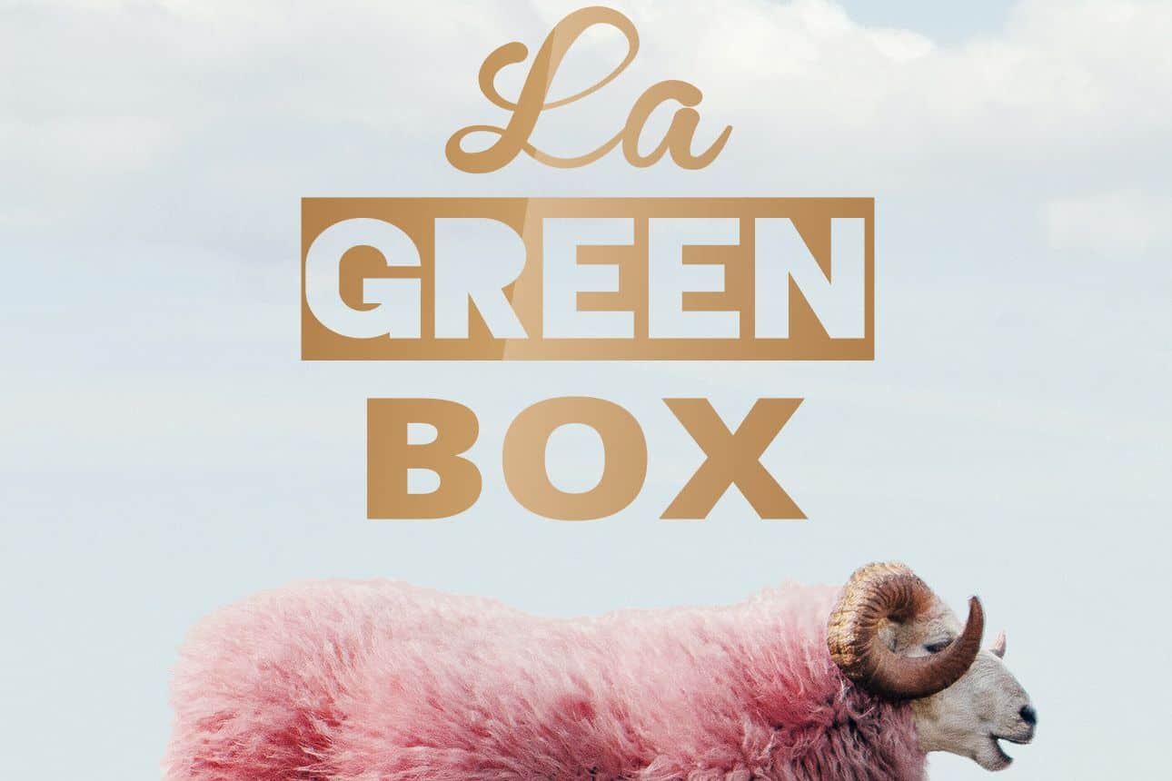 La Green Box Florent Vintrignier La Rue Kétanou nouveau projet