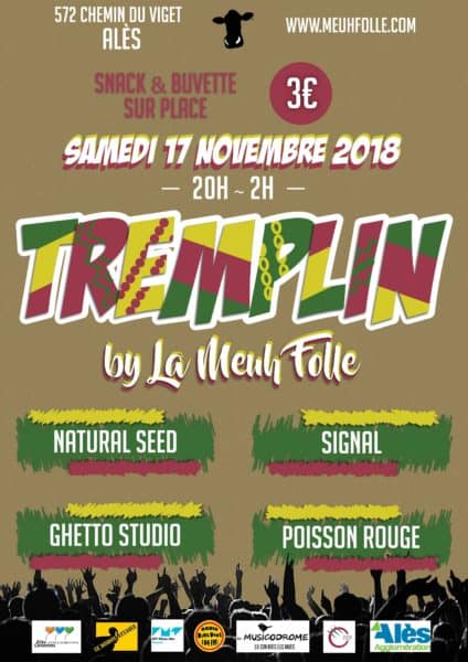 programmation Tremplin festival de la Meuh Folle 2019 alès