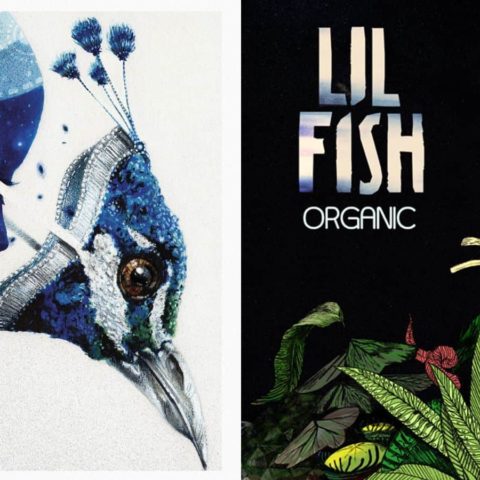 lil fish organic ep 2019 gravitas recordings